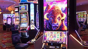 thomo789 slot online